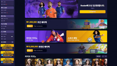 루벳 roobetkor.com 환전 신청 후 아이디 차단 양방드립 400만 먹튀!